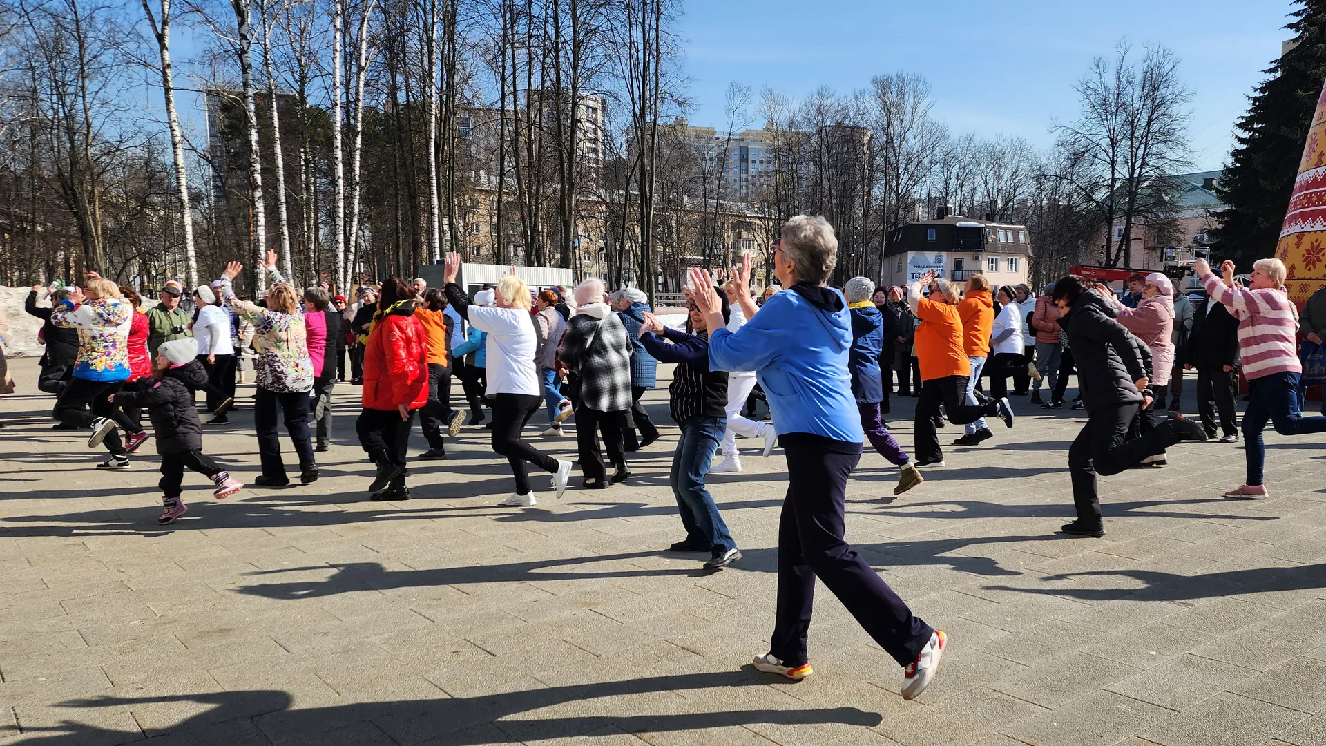 Фото: МедиаБанк Подмосковья/Ольга Шеметова