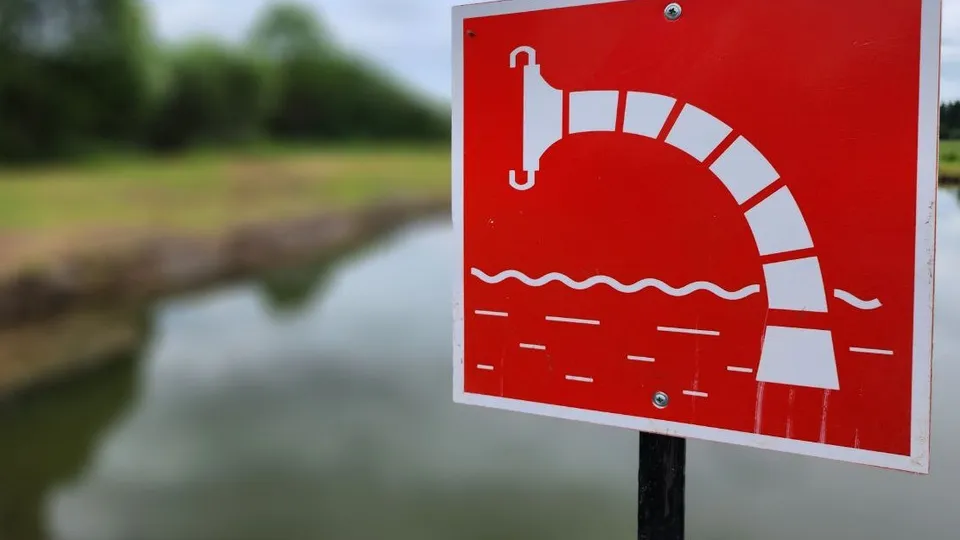 Фото: МедиаБанк Подмосковья/Яна Шаливская