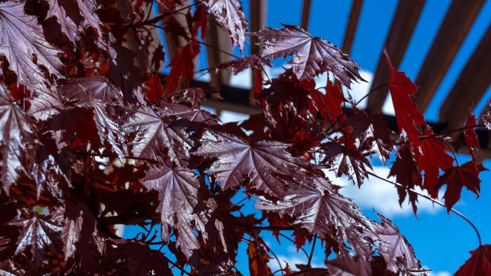 Фото: REGIONS/Наталия Надточая