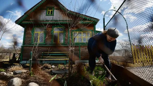 Дачников Коломенского района оштрафовали на полмиллиона рублей