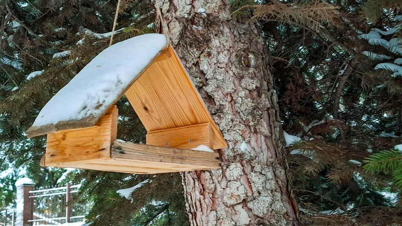 REGIONS/Юлия Габбасова