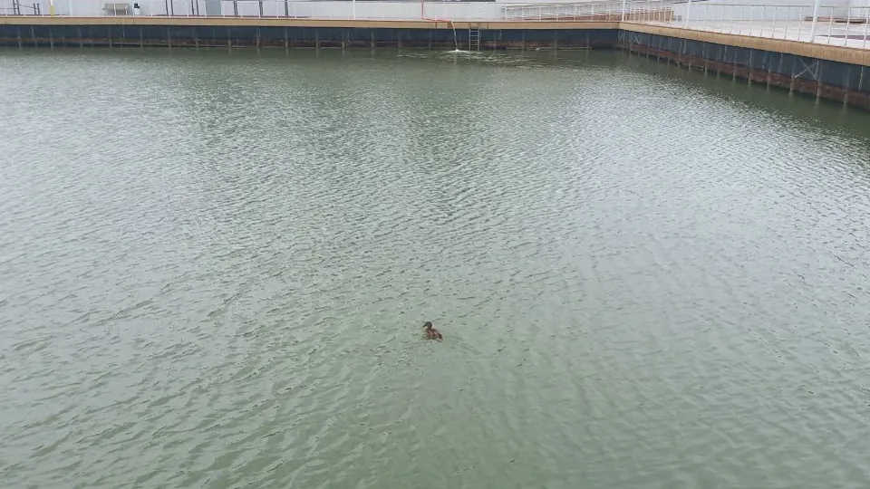 Фото: REGIONS/Олег Книжник