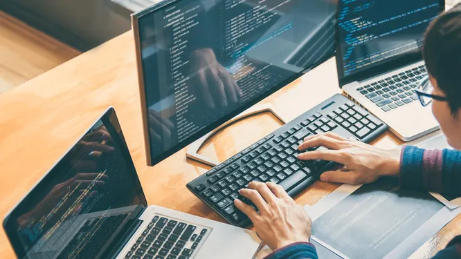 Фото: Adobe Stock