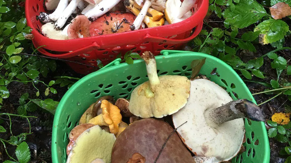 Фото: личный архив Кристины Шумбар