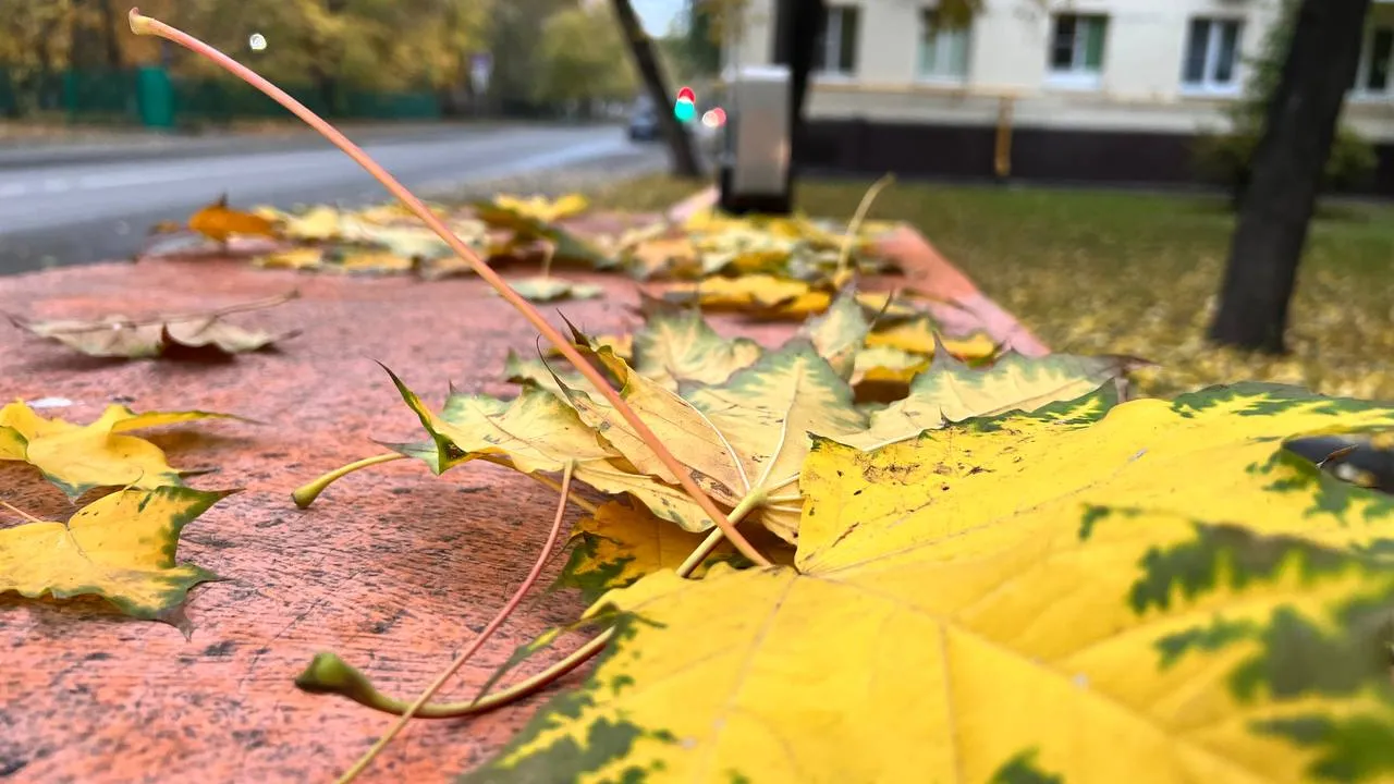 Фото: REGIONS/Елена Фурман