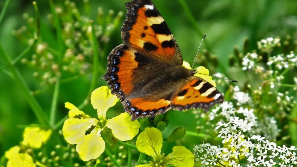 Фото: Филипп Григорьев