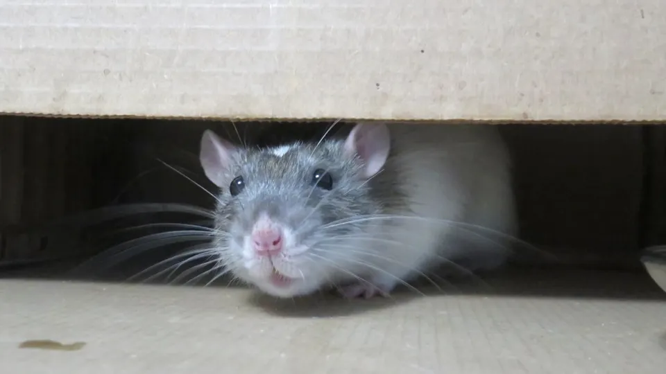 Фото: unsplash.com