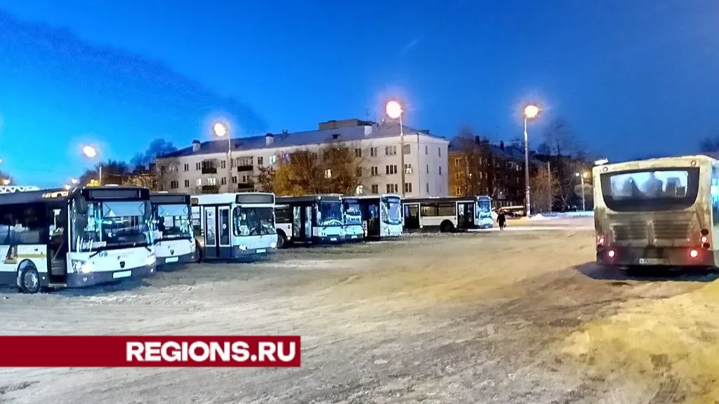 Фото: Елена Григорьева