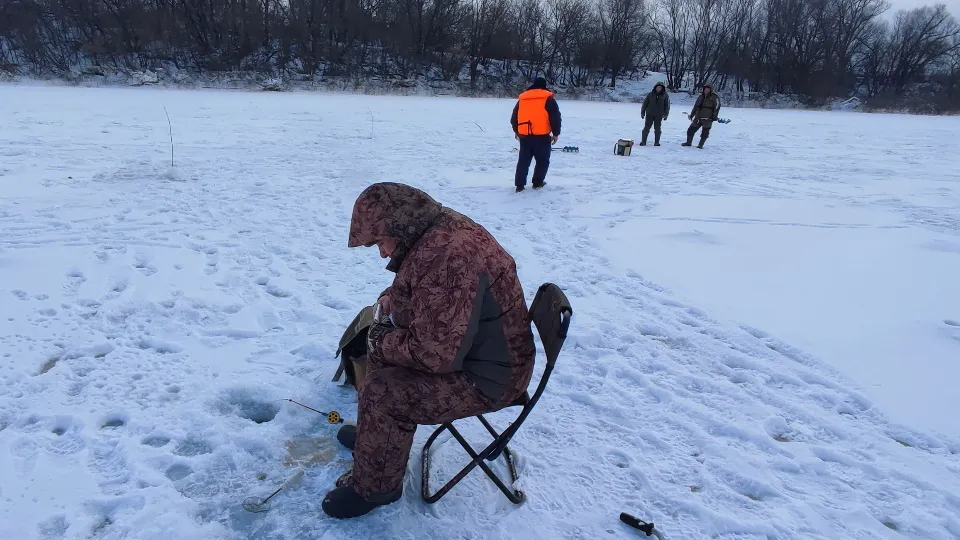 Фото: МедиаБанк Подмосковья/Александр Зель