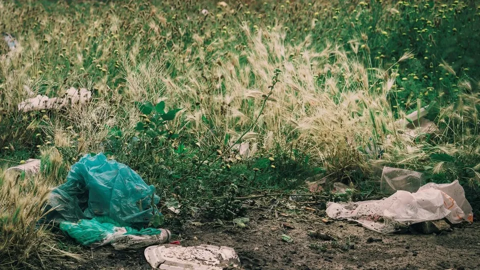 Фото: freepik.com