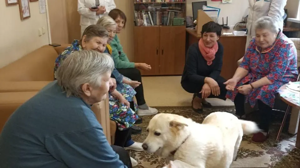 Министерство социального развития Московской области