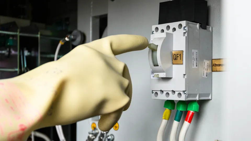 Фото: медиасток.рф