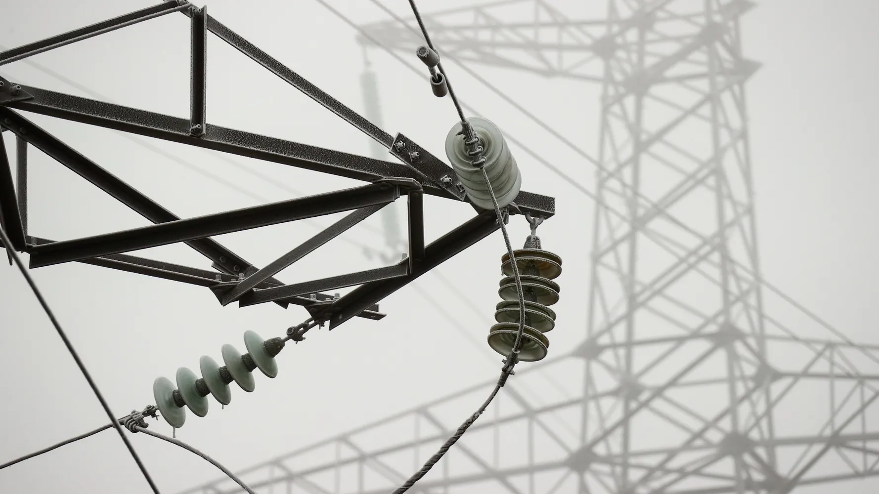 Фото: ТАСС/Сергей Мальгавко