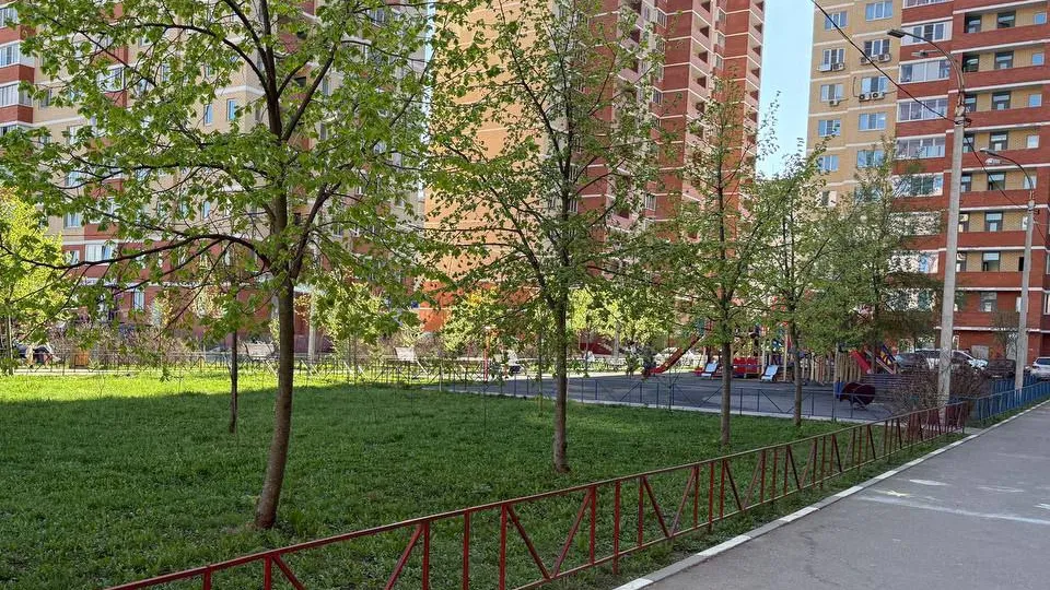 Фото: пресс-служба администрации г.о. Фрязино