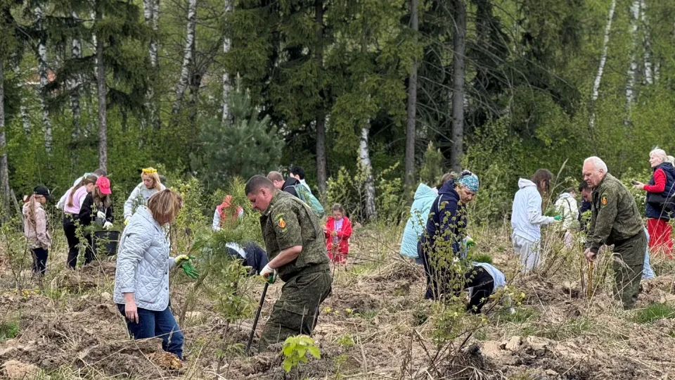 Фото: Комитет лесного хозяйства МО
