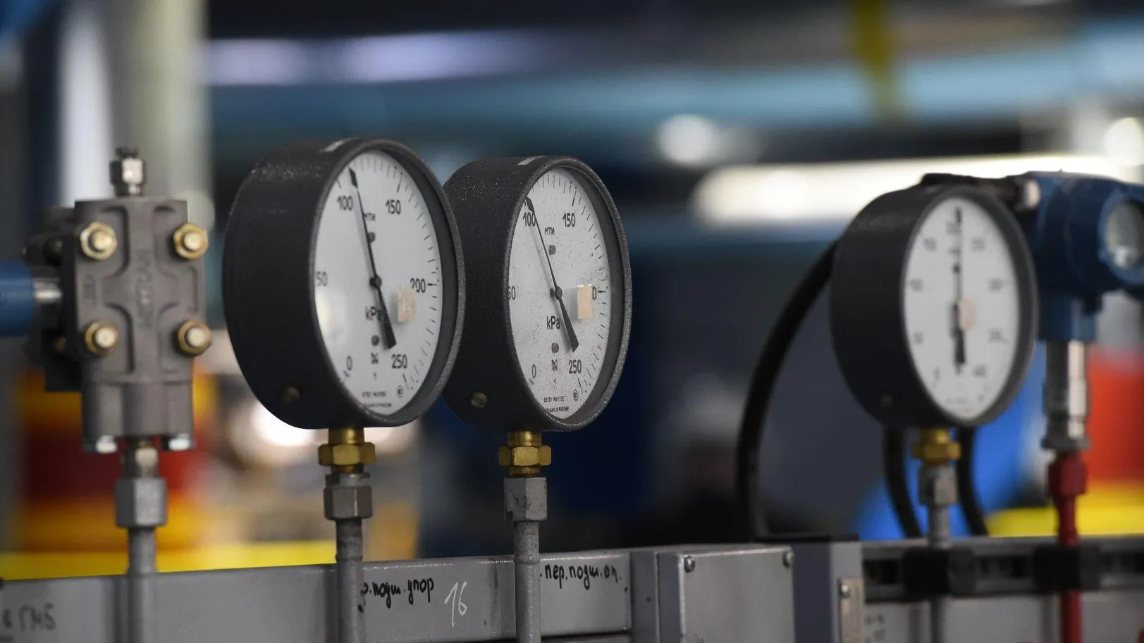 Фото: Медиаархив Подмосковья