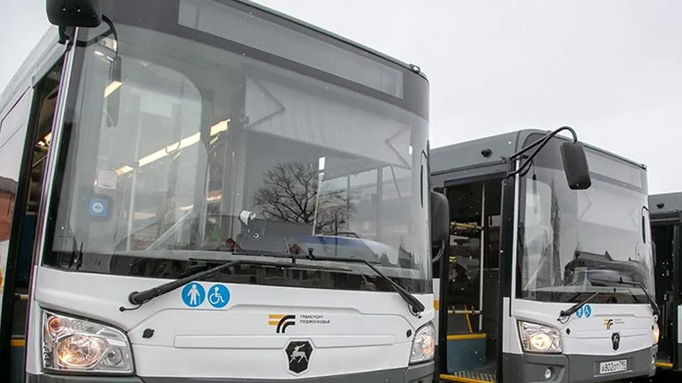 Фото: пресс-служба правительства Московской области