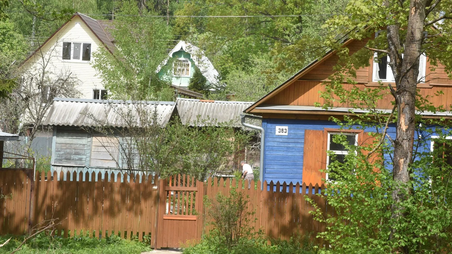 Биолог Татаренко перечислила необходимые работы на даче в ближайший месяц