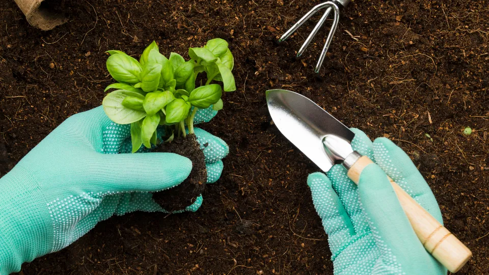 Фото: freepik.com