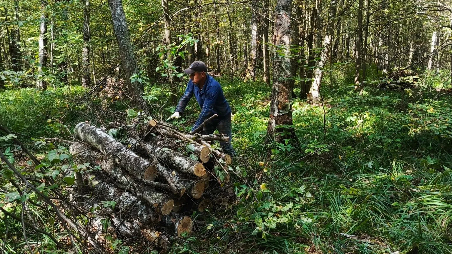 Комитет лесного хозяйства Московской области