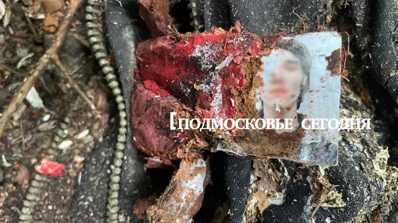 Обнаруженные в лесу под Балашихой части скелета могут принадлежать пропавшему парню с эпилепсией