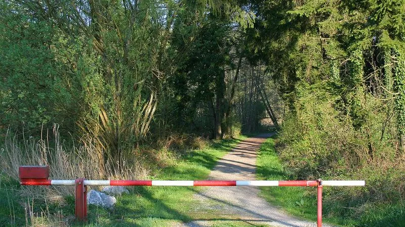 Stefan-Xp / wikimedia.org