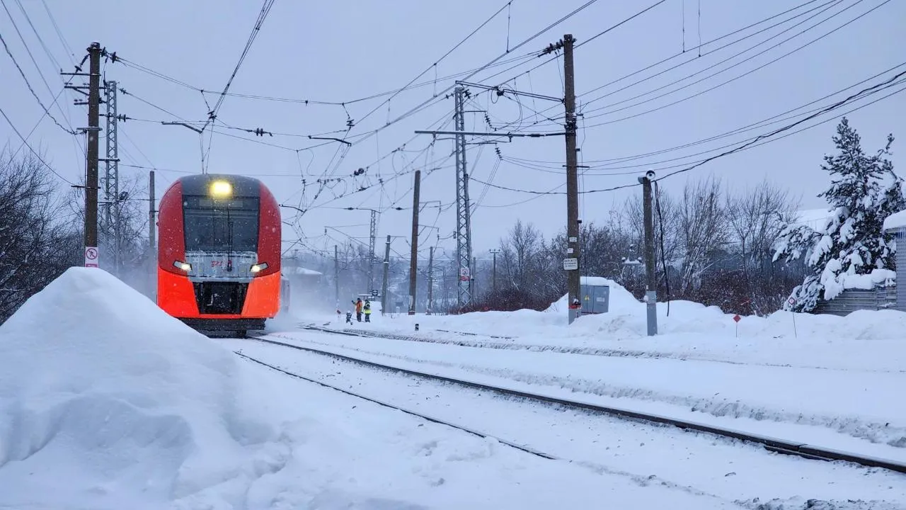 Елена Шумакова