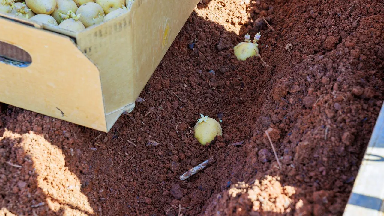 istockphoto.com/photovs