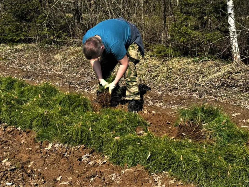 Фото: Комитет лесного хозяйства Московской области