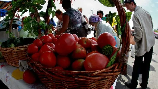 График работы магазина продуктов в Шаховской не устроил губернатора