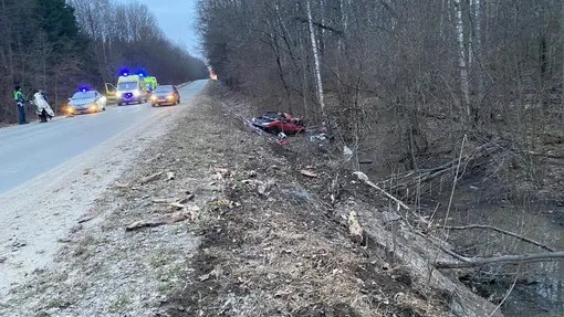 пресс-служба ГУ МВД по Московской области