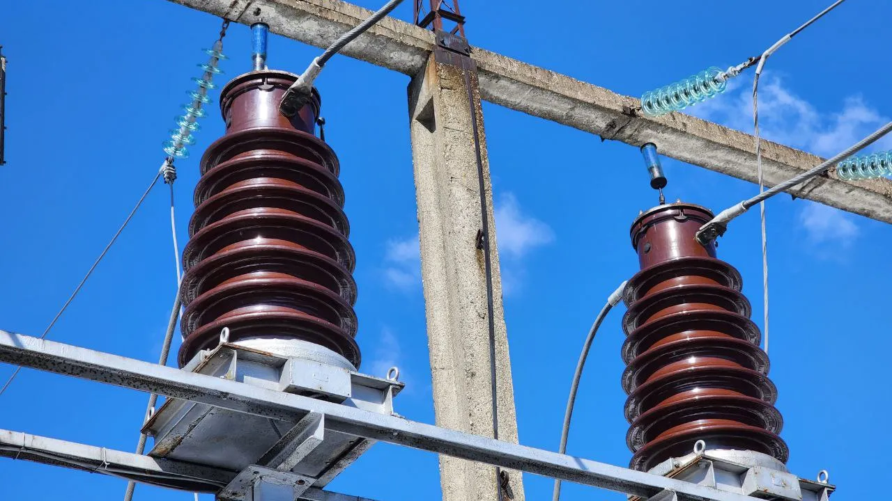 Фото: Яна Шаливская