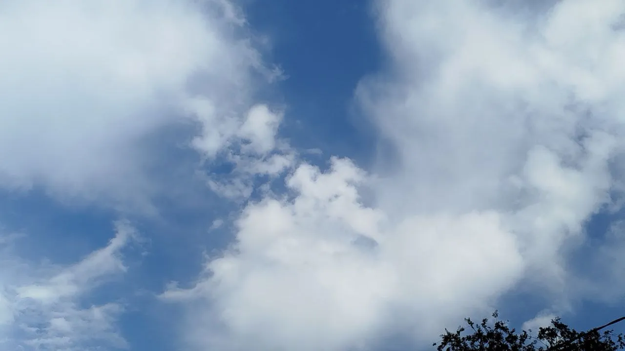 Фото: REGIONS/Юлия Куделькина