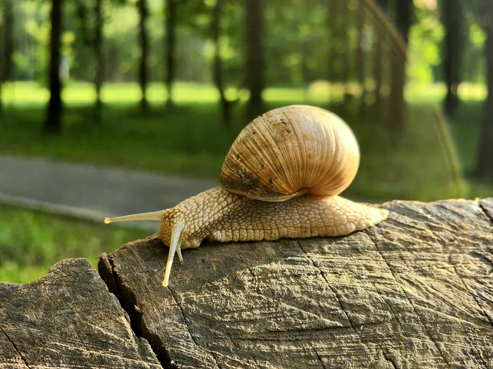 Фото: REGIONS/Мария Панина