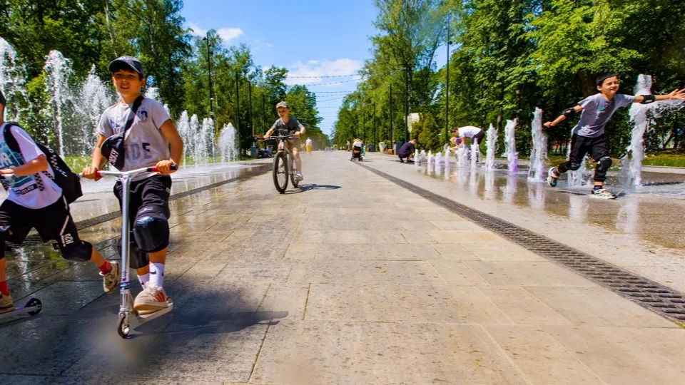 Фото: Министерство благоустройства Московской области