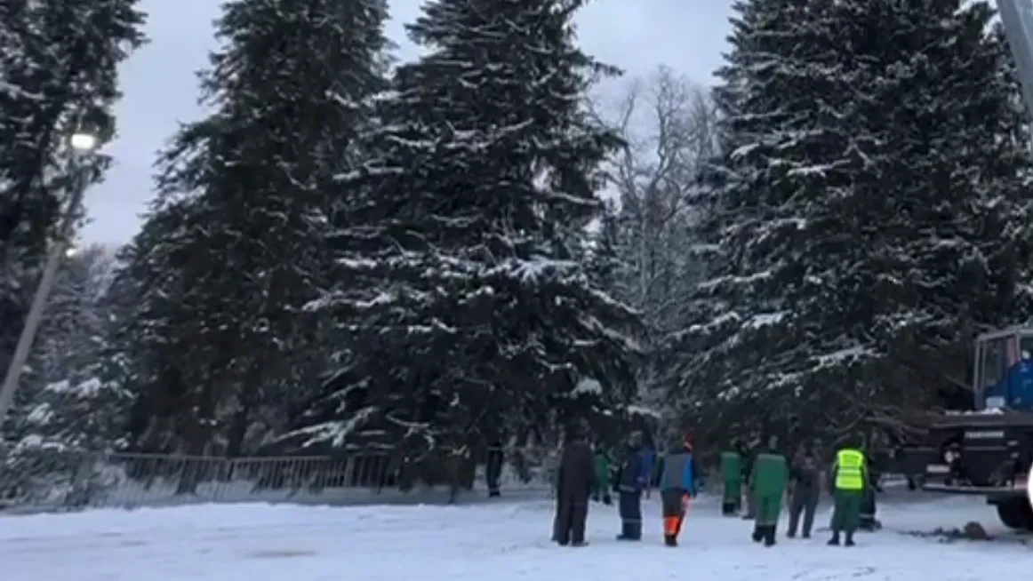 Фото: скриншот видео