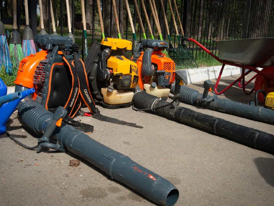 Фото: пресс-служба администрации г.о. Коломна