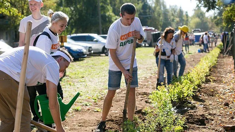 Почти 300 деревьев высадят в Коломне в ходе акции «Наш лес. Посади свое дерево»