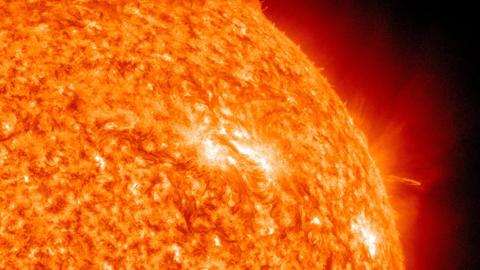 Фото: pxhere.com