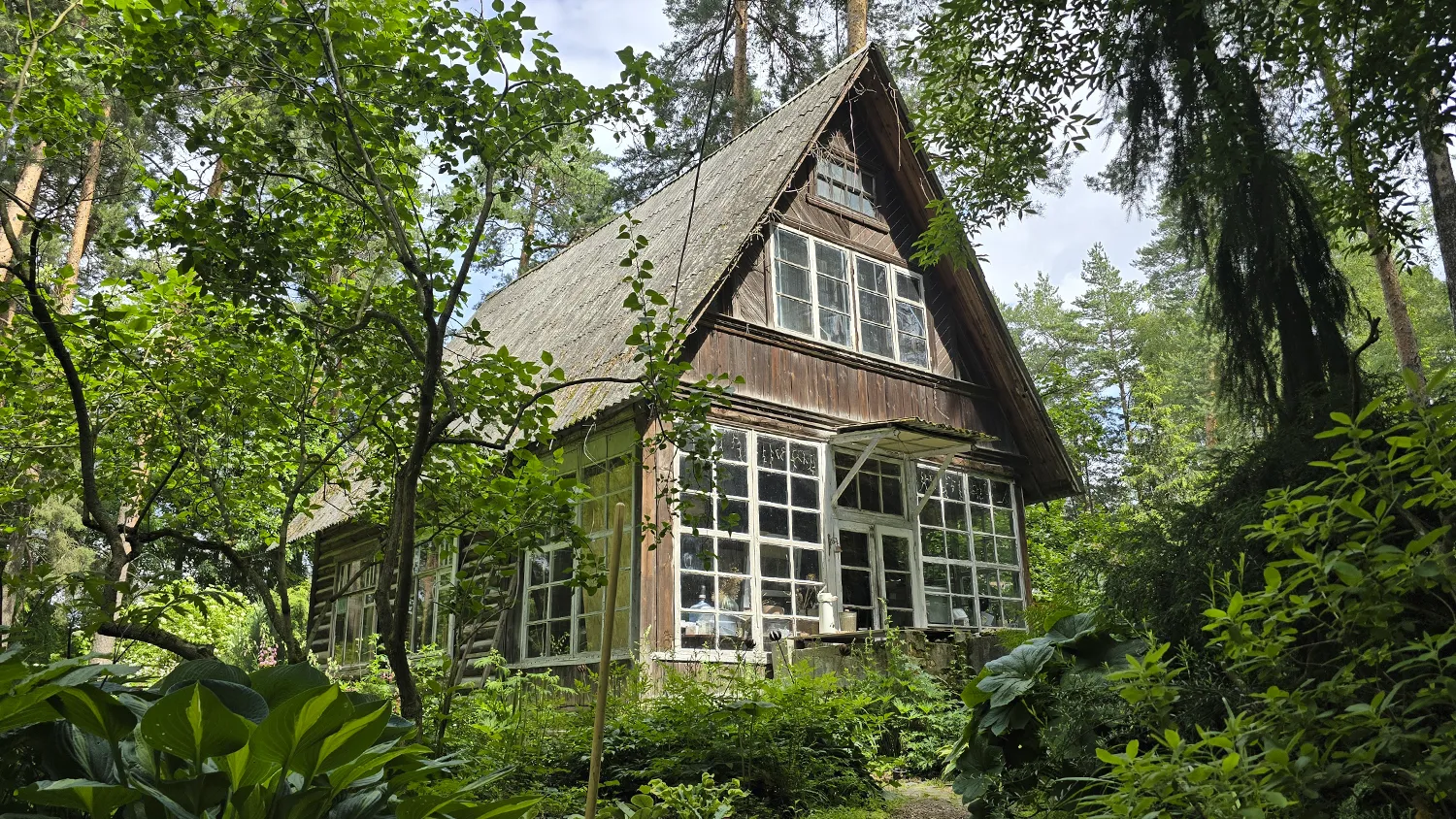 Фото: МедиаБанк Подмосковья/Марина Анисимова