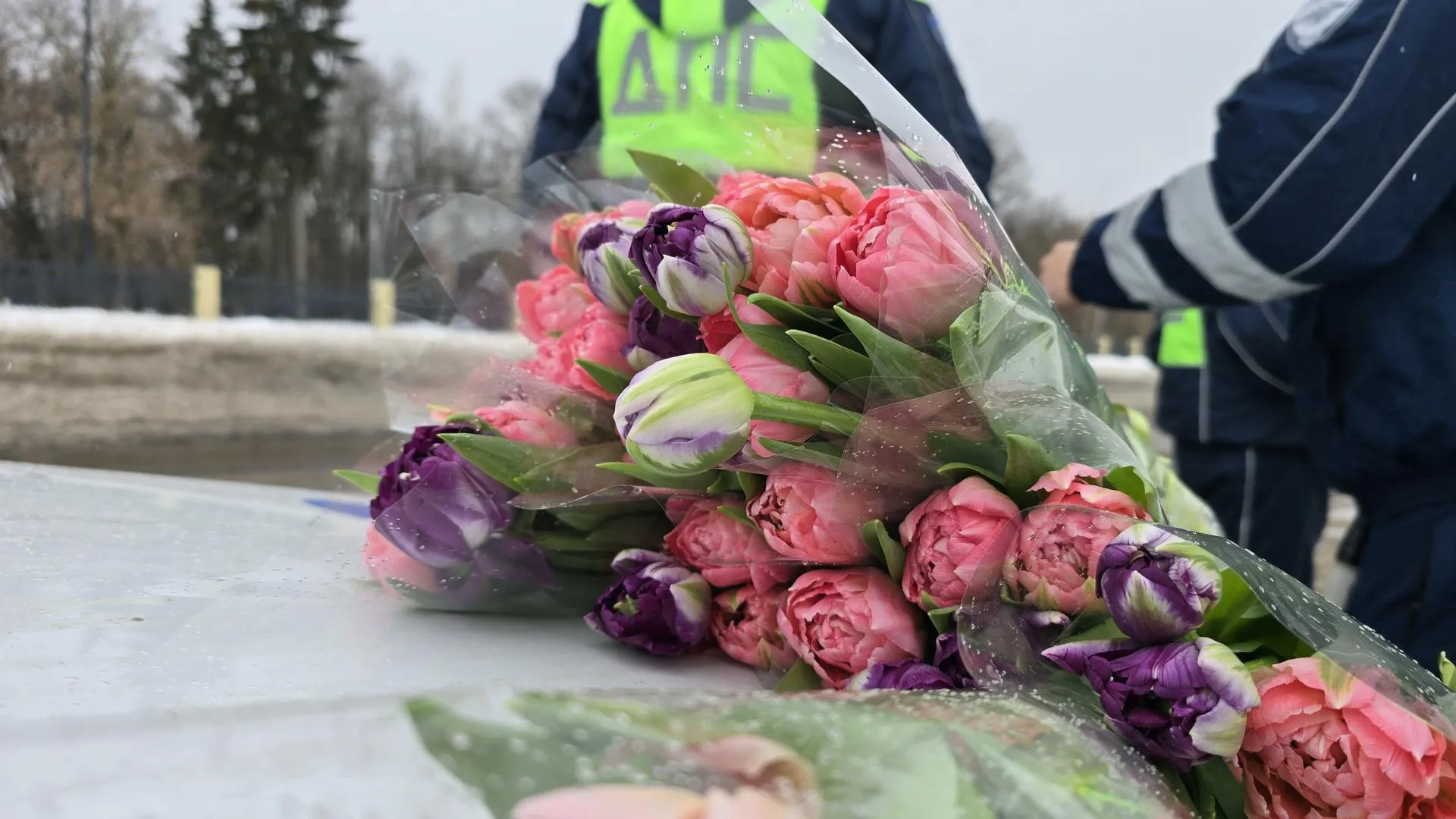 МедиаБанк Подмосковья/Марина Анисимова