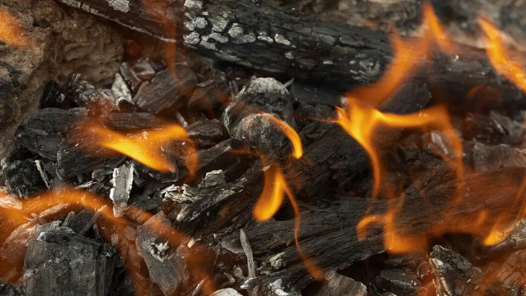 Фото: freepik.com