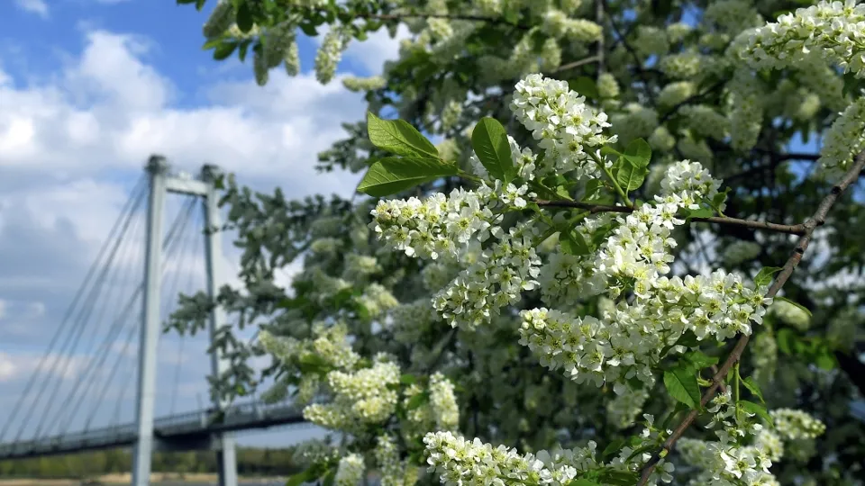 Фото: РИА Новости/Илья Наймушин