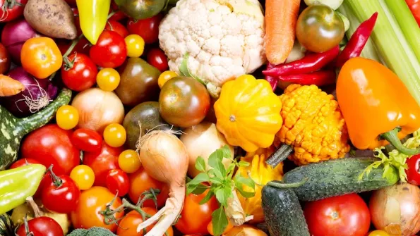 Фото: ru.freepik.com