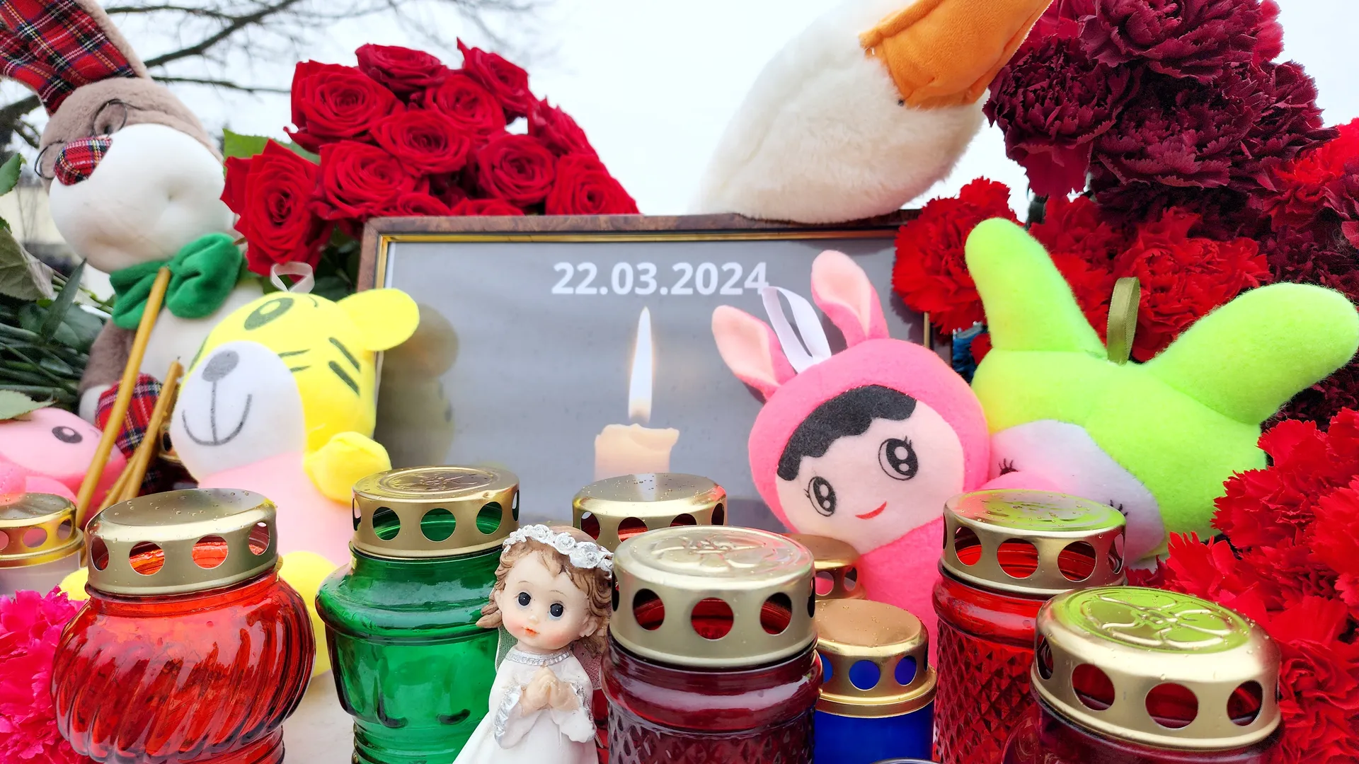 Фото: Ксения Пашуто