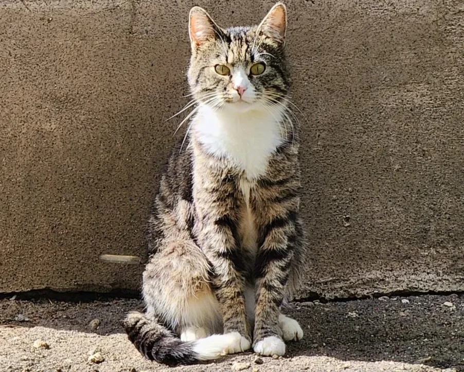 Фото: Екатерина Данилина