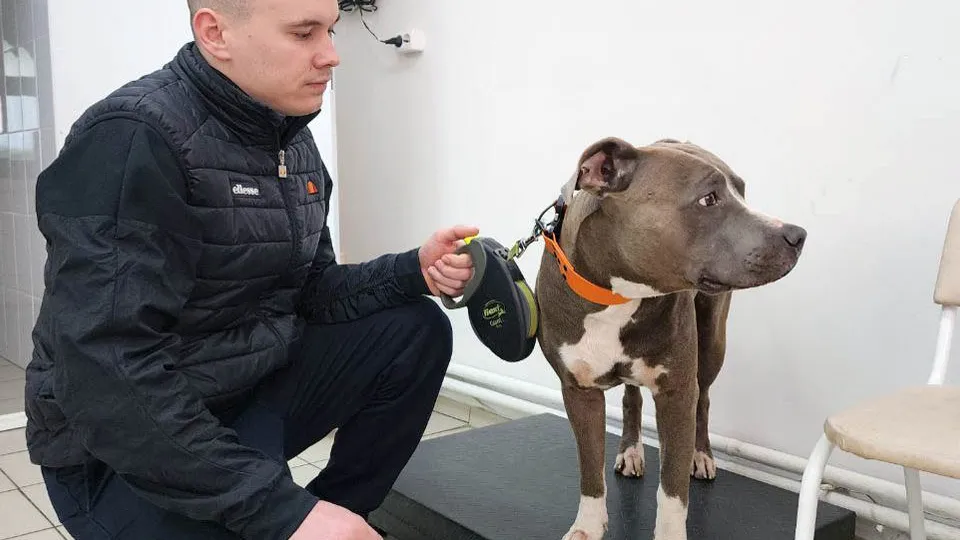 Фото: МедиаБанк Подмосковья/Евгений Рой