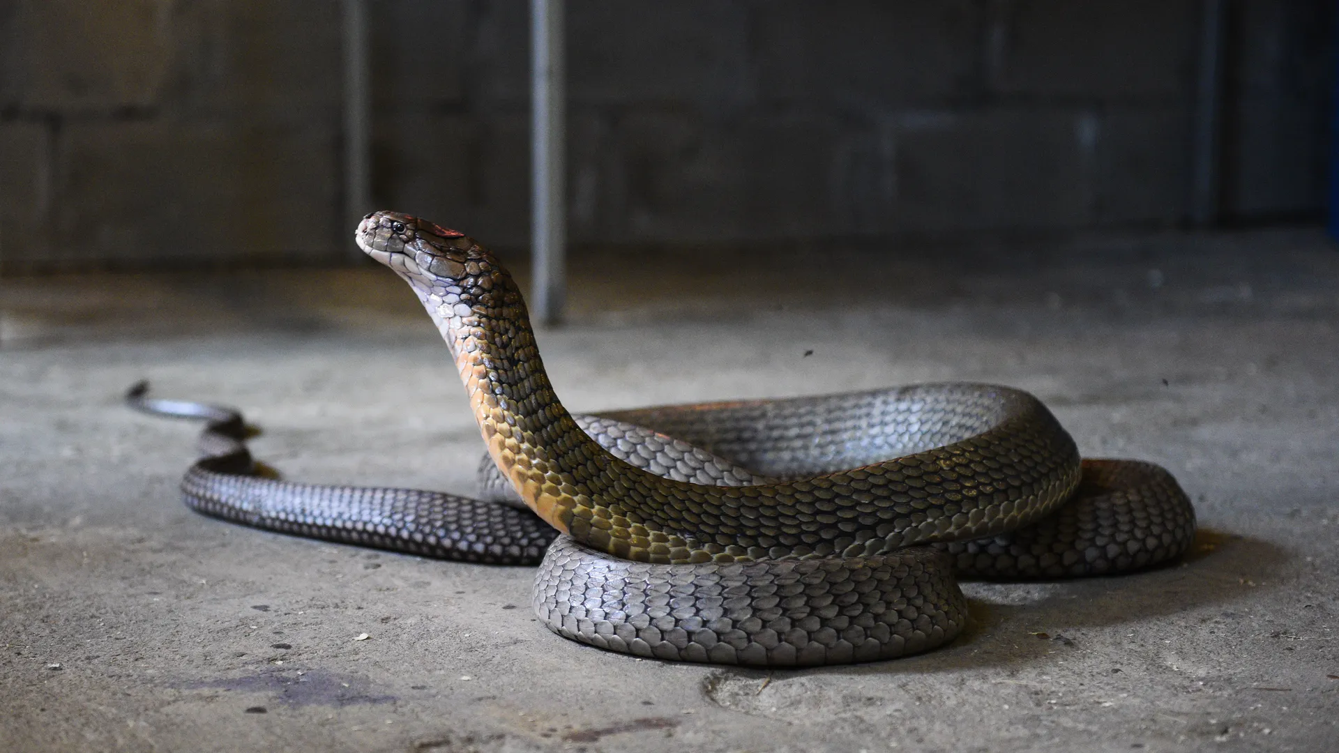 медиасток.рф