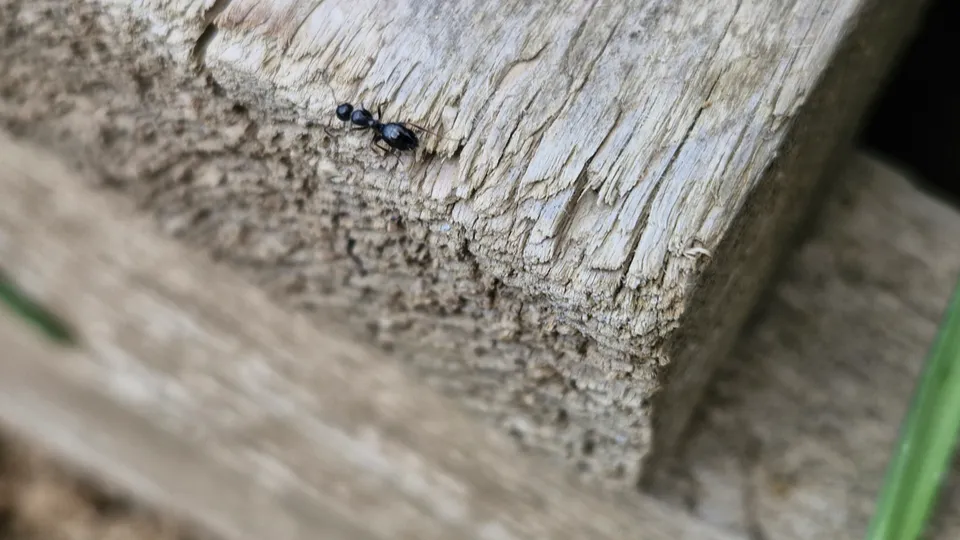 Фото: REGIONS/Наталия Надточая