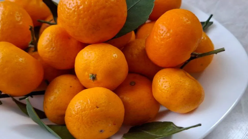 Фото: REGIONS/Юлия Габассова